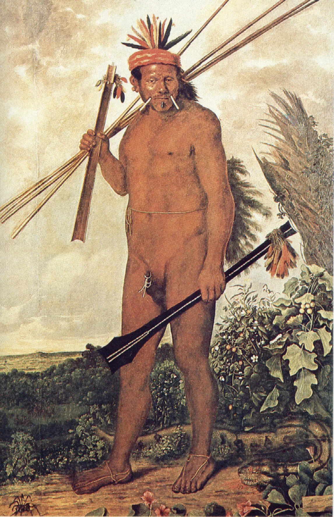 Ekhout - nativo
